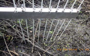 Researchers use pins resting on the wetland surface to measure its elevation relative to sea level.